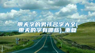 带夫字的男孩名字大全(带夫的字有哪些)_重复