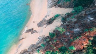 男人看手相算命图解(真人图解面相手相)