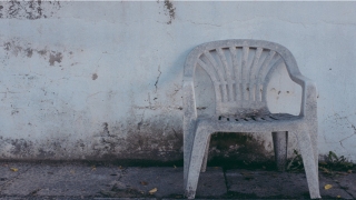 2021年属牛忌讳几月出生(牛宝宝起名字)_重复