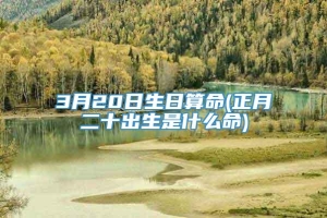 3月20日生日算命(正月二十出生是什么命)