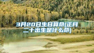 3月20日生日算命(正月二十出生是什么命)