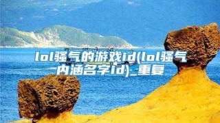 lol骚气的游戏id(lol骚气内涵名字id)_重复