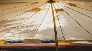 八字测对象长相,姓名(如何从八字自断配偶长相)