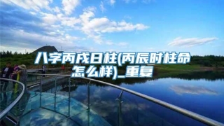 八字丙戌日柱(丙辰时柱命怎么样)_重复