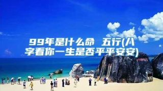 99年是什么命 五行(八字看你一生是否平平安安)