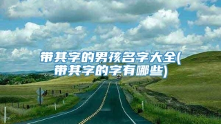 带其字的男孩名字大全(带其字的字有哪些)