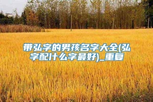 带弘字的男孩名字大全(弘字配什么字最好)_重复