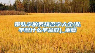 带弘字的男孩名字大全(弘字配什么字最好)_重复