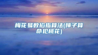梅花易数掐指算法(婶子算命犯桃花)