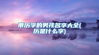 带历字的男孩名字大全(历是什么字)