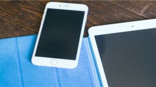 老婆怀孕老公梦见蛇有什么预兆(梦见自己怀孕预兆)