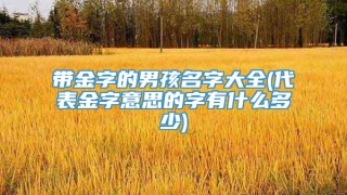 带金字的男孩名字大全(代表金字意思的字有什么多少)