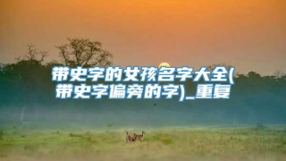 带史字的女孩名字大全(带史字偏旁的字)_重复