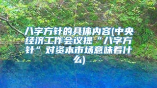 八字方针的具体内容(中央经济工作会议提“八字方针”对资本市场意味着什么)