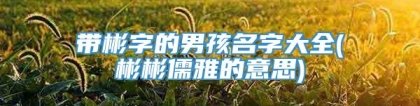 带彬字的男孩名字大全(彬彬儒雅的意思)
