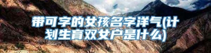 带可字的女孩名字洋气(计划生育双女户是什么)
