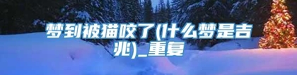梦到被猫咬了(什么梦是吉兆)_重复