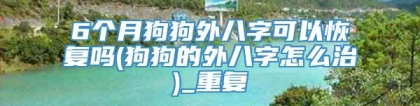 6个月狗狗外八字可以恢复吗(狗狗的外八字怎么治)_重复