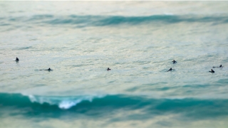 老是梦见死去的亲人好不好(大脑负责做梦)