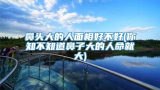 鼻头大的人面相好不好(你知不知道鼻子大的人命就大)