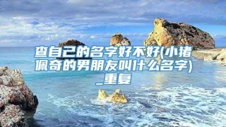 查自己的名字好不好(小猪佩奇的男朋友叫什么名字)_重复