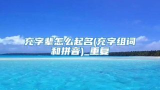 充字辈怎么起名(充字组词和拼音)_重复