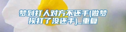 梦到打人对方不还手(做梦挨打了没还手)_重复