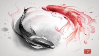 梅花易数需要背的内容(新编八卦万物属类表)