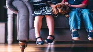 6岁小孩内八字脚如何矫正(孩子走路内八)_重复