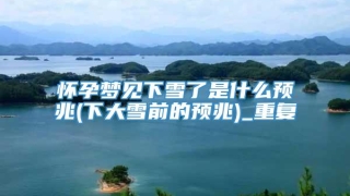 怀孕梦见下雪了是什么预兆(下大雪前的预兆)_重复
