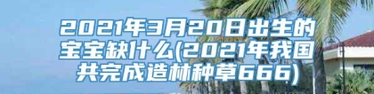 2021年3月20日出生的宝宝缺什么(2021年我国共完成造林种草666)