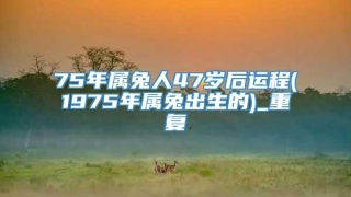 75年属兔人47岁后运程(1975年属兔出生的)_重复