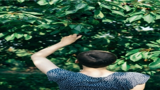 霸气的仙帝名字(石昊是仙帝吗)