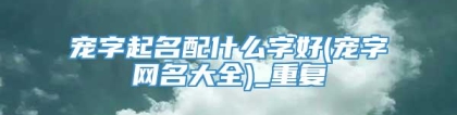 宠字起名配什么字好(宠字网名大全)_重复