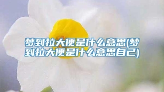 梦到拉大便是什么意思(梦到拉大便是什么意思自己)