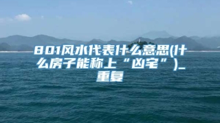 801风水代表什么意思(什么房子能称上“凶宅”)_重复