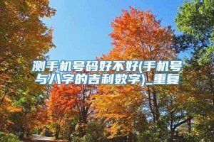 测手机号码好不好(手机号与八字的吉利数字)_重复