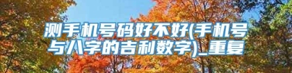 测手机号码好不好(手机号与八字的吉利数字)_重复