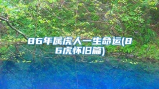 86年属虎人一生命运(86虎怀旧篇)