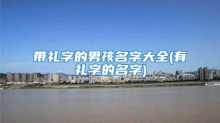 带礼字的男孩名字大全(有礼字的名字)