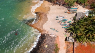 蝉字起名是什么意思(蝉字怎么写)