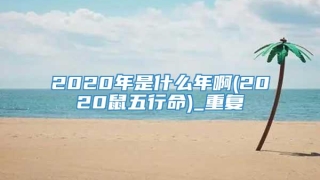 2020年是什么年啊(2020鼠五行命)_重复