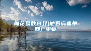 梅花易数口卦(他看麻雀争吵)_重复