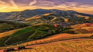 龙和鼠相配婚姻如何(龙和鼠的生肖婚姻配吗)