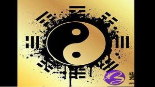 八字排盘天干地支(四木主排四柱八字排盘)