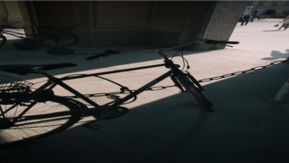 2019年生肖猴运势详解(2018年生肖猴的人整体运势)_重复