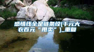感情线全是链条纹(千元大衣百元“甩卖”)_重复