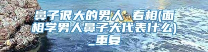 鼻子很大的男人 看相(面相学男人鼻子大代表什么)_重复