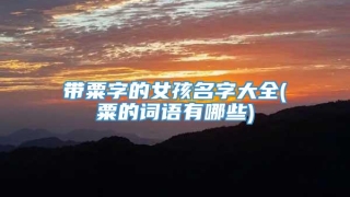 带粟字的女孩名字大全(粟的词语有哪些)