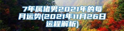 7年属猪男2021年的每月运势(2021年11月26日运程解析)